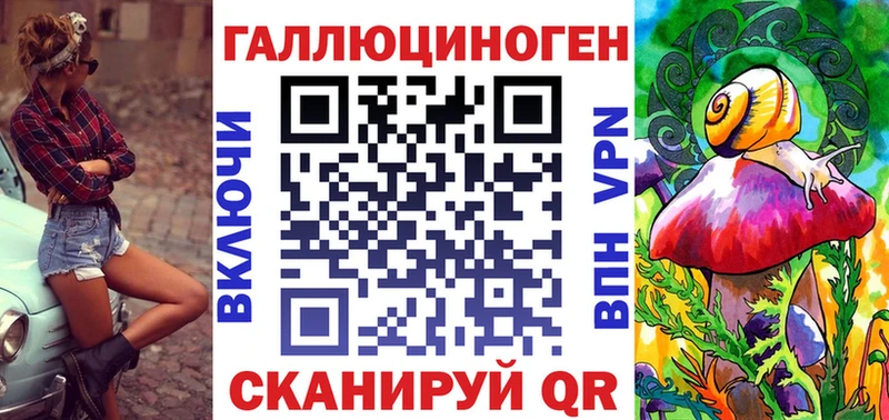 купить закладку  Каргополь  Галлюциногенные грибы мицелий 